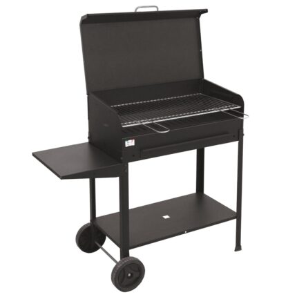 Mille Etna – Handgefertigter Eisen-Holzkohlegrill – 77,5x47cm